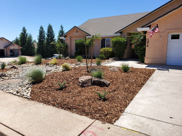 Drought proof landscaping